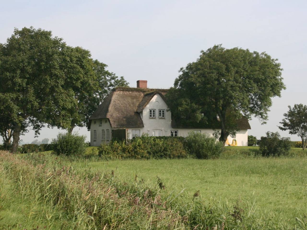 Reetdachhaus Poppenbüll in Poppenbüll, Eiderstedt