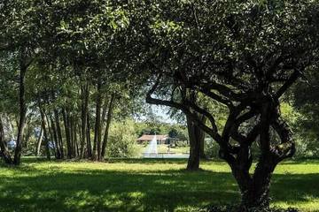 Cabane En Bois pour 2 Personnes dans Cormoranche-sur-Saône, Région de Bourg-en-Bresse, Photo 3