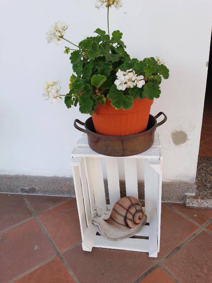 B&B La Chiocciola in Bagnacavallo, Province de Ravenne