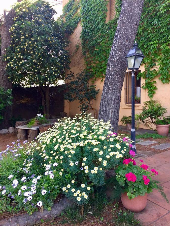 Location de vacances pour 8 personnes, avec Terrasse ainsi que Jardin et Vue à Premià de Mar - 4