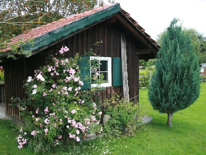 Morgentau - Rosenhof-Allgäu in Görisried, Bayerisch Schwaben