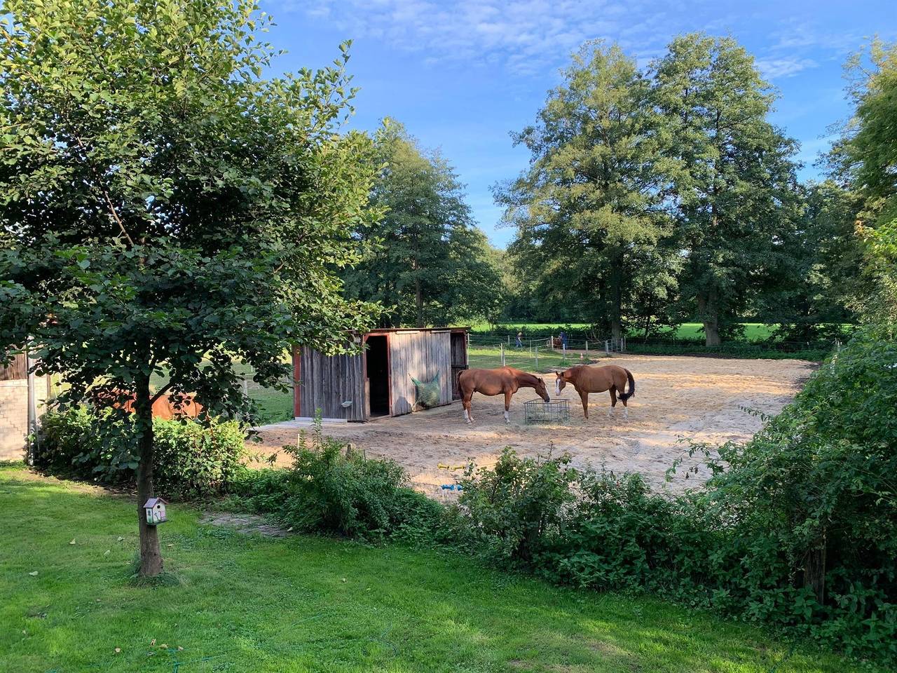 Ganze Ferienwohnung, Fw in der Wassermühle in Habighorst, Eschede