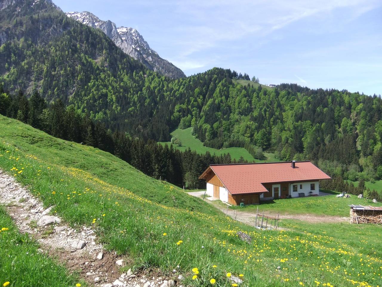 Ganze Ferienwohnung, Goglalm in Walchsee, Kaisergebirge