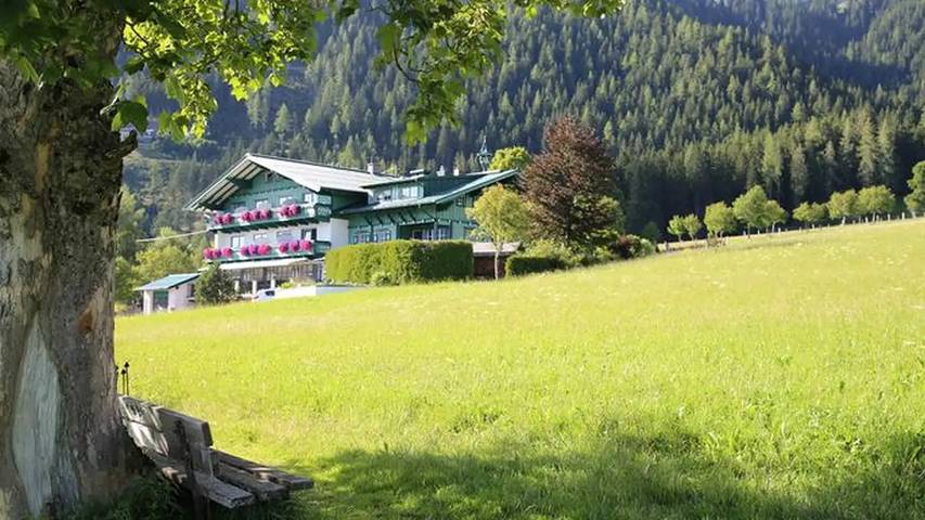 Bauernhof für 3 Personen, mit Garten und Sauna in Ramsau am Dachstein - 4