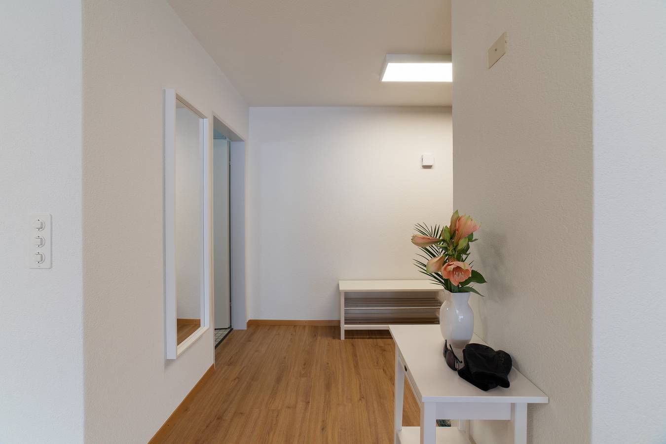 Ganze Wohnung, Panorama Blick in Unterwasser, Wildhaus-Alt St. Johann