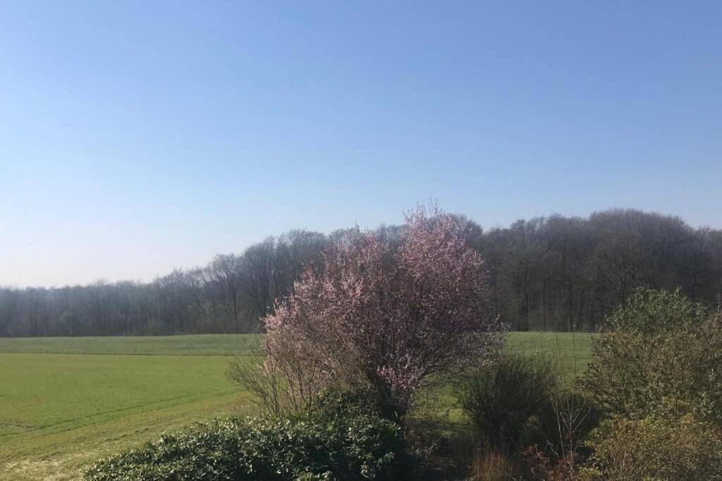 Ganze Wohnung, One-Bedroom Apartment in Herford, Nordrhein-Westfalen