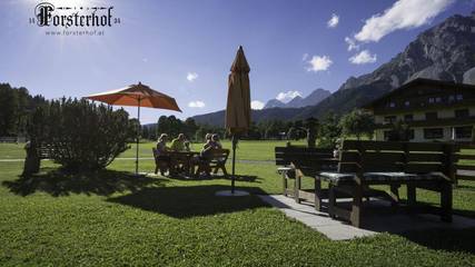 Hütte für 4 Personen in Ramsau am Dachstein, Ski Amadé, Bild 2