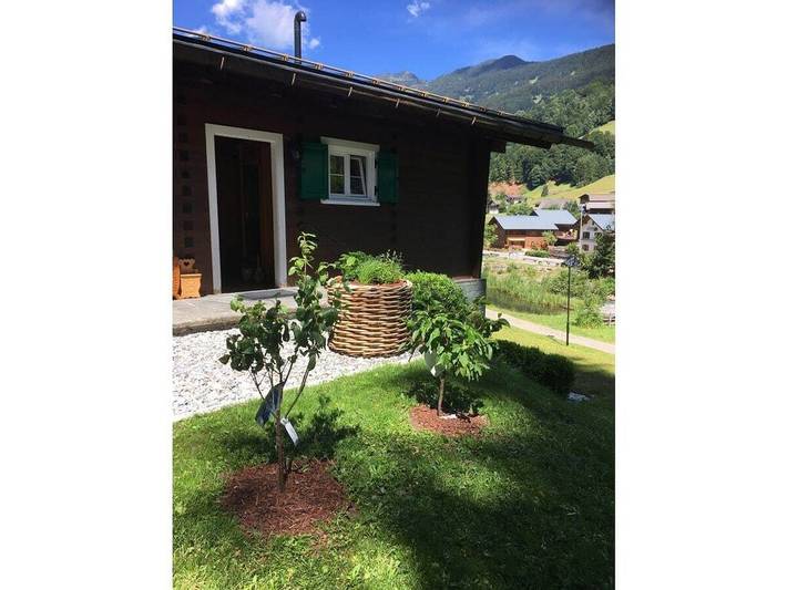 Ferienhaus in Silbertal mit Barbecue in Silbertal, Schruns-Tschagguns