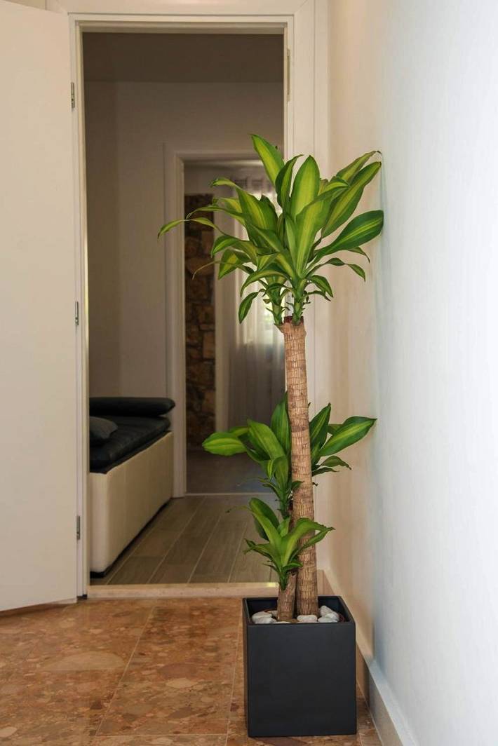 Ferienwohnung für 3 Personen, mit Ausblick, mit Haustier