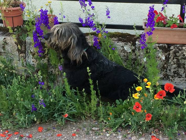 Chambre d’hôte pour 2 personnes, avec jardin dans le Parc naturel régional du Morvan - 2