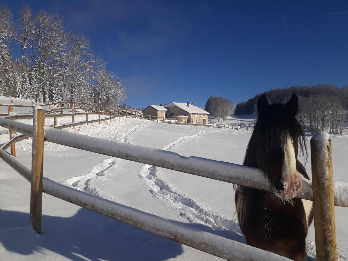 Gîte des 3 Marches in Lamoura, Parc naturel régional du Haut-Jura