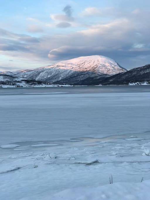 Ferienhaus für 5 Personen, mit Ausblick und Garten in Senja - 3