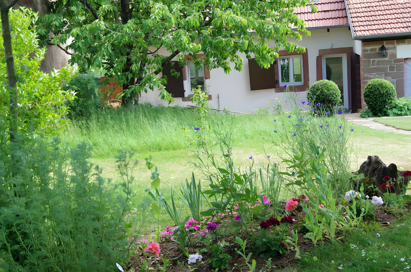 Gîte « La Petite Maison » avec terrasse privée, jardin commun et Wi-Fi à Erckartswiller in Erckartswiller, Région de Saverne