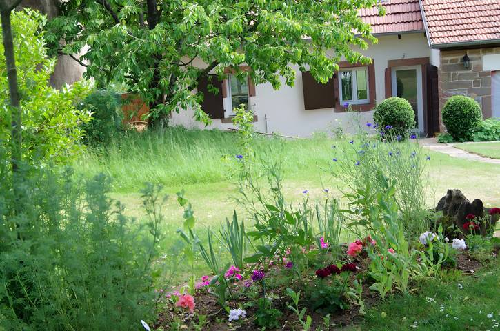 Ferienhaus für 6 Personen, mit Garten im Elsass - 3