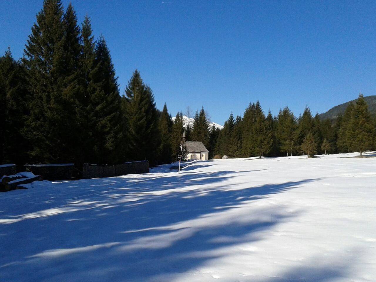 Ganze Ferienwohnung, Appartement Schwarz - Appartement Schwarz in Ehrwald, Ammergauer Alpen (Österreich)