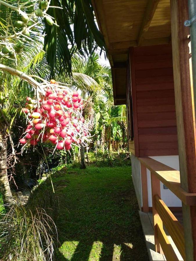 Location de vacances pour 4 personnes, avec vue et jardin à Gourbeyre - 4