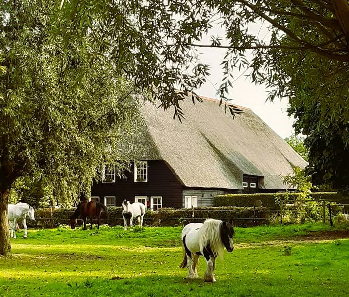 Farm for 6 people, with terrace and garden - 1