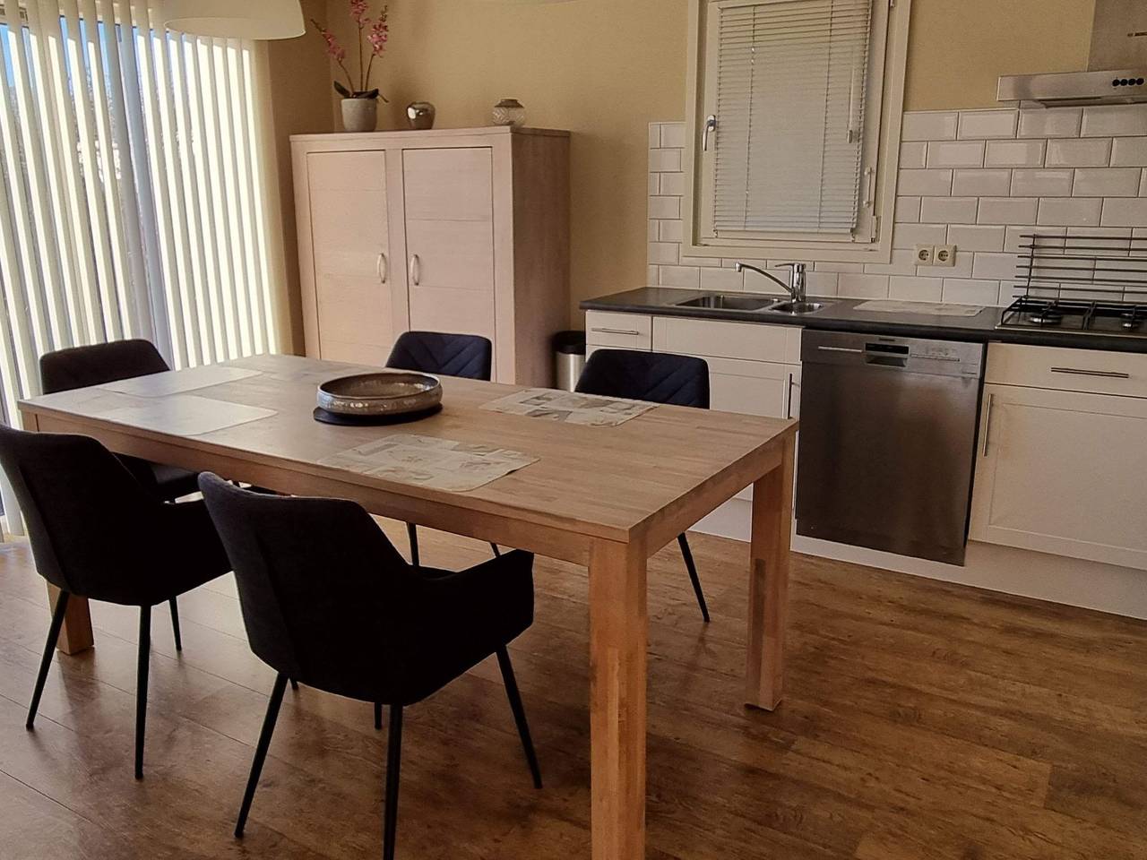 Seehund in Sint-Annaland, Niederländische Nordsee