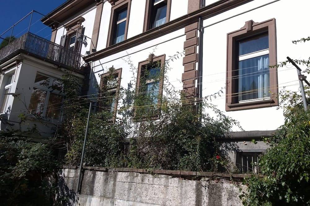 Ganze Wohnung, Große, helle Wohung mit hohen Räumen in Jugendstil-Villa mit Garten in Suedlicher Schwarzwald, Zell im Wiesental