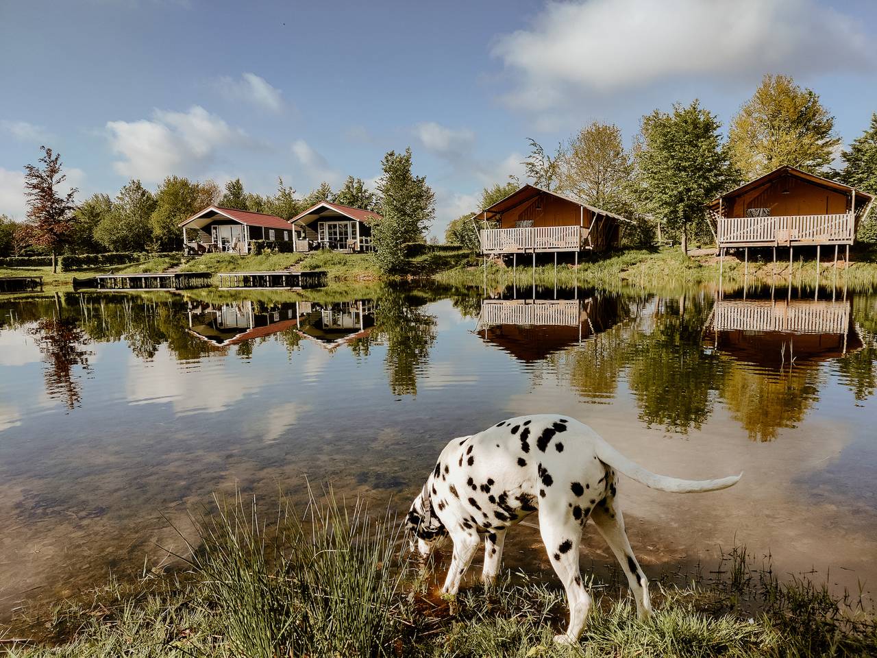 Vakantiepark Eigen Wijze — Chalet Lodge (4 Personen) in Bant, Ijsselmeer