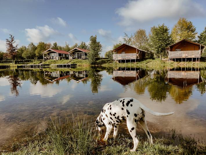 Ferienhaus für 4 Personen, mit Seeblick am Ijsselmeer - 2