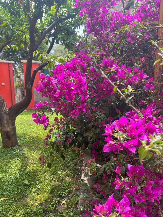 Maison d’hôte pour 2 personnes, avec vue et jardin à Imperia - 2