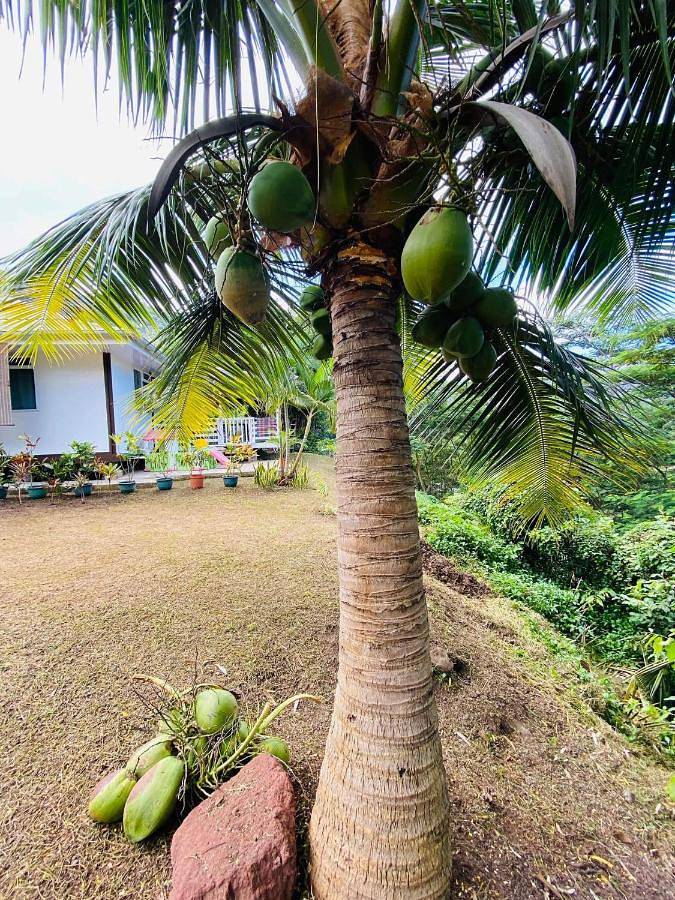 Location de vacances pour 7 personnes, avec terrasse ainsi que jardin et vue dans Atuona - 4