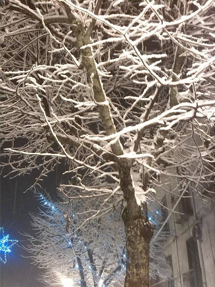 Location de vacances pour 2 personnes, avec balcon ainsi que vue et vue sur le lac à Viggiano (Italie) - 3
