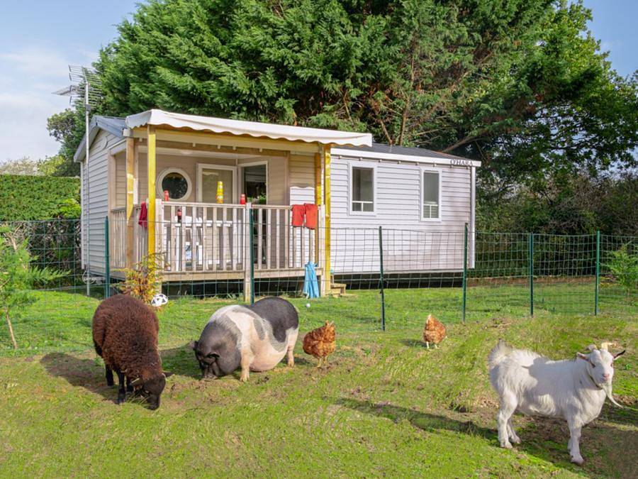 Camping Les Carolins - Mobile home 4 persons - Confort - 30 m² - 2 bedrooms - Farmhouse view in Port-Bail-sur-Mer, Côte de la Déroute