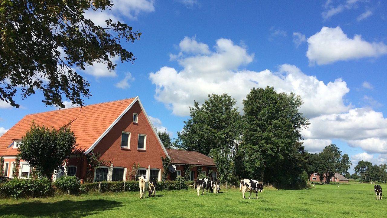 Ferienhaus für 18 Personen (650 m²) in Backemoor in Backemoor, Rhauderfehn