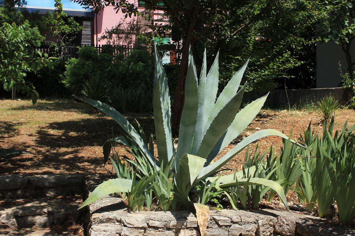 Dwupokojowy dom z tarasem Artatore, Losinj K-7937 in Mali Lošinj, Aratore
