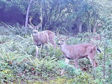 Vacation House for 10 Guests in Eugene, Willamette Valley, Picture 3