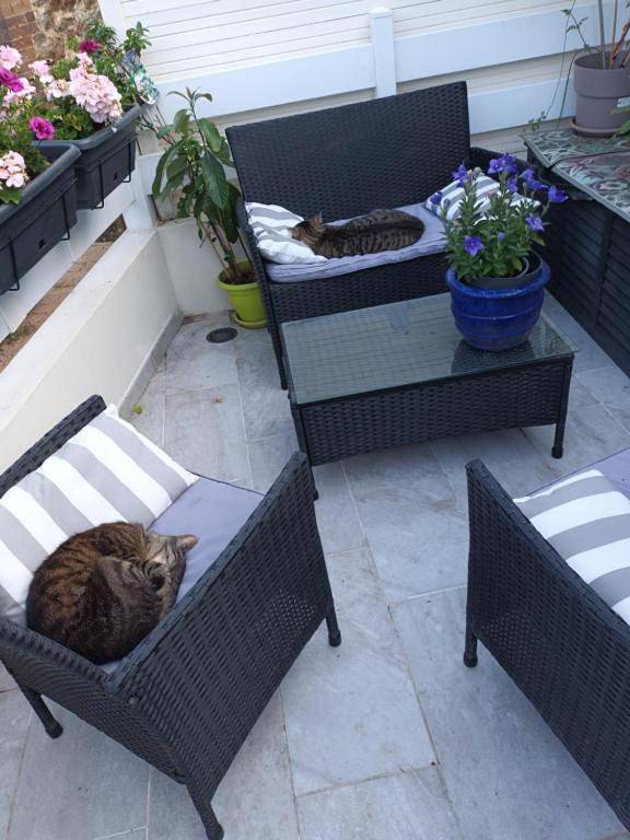 Gîte pour 2 personnes, avec terrasse à Gorron - 3