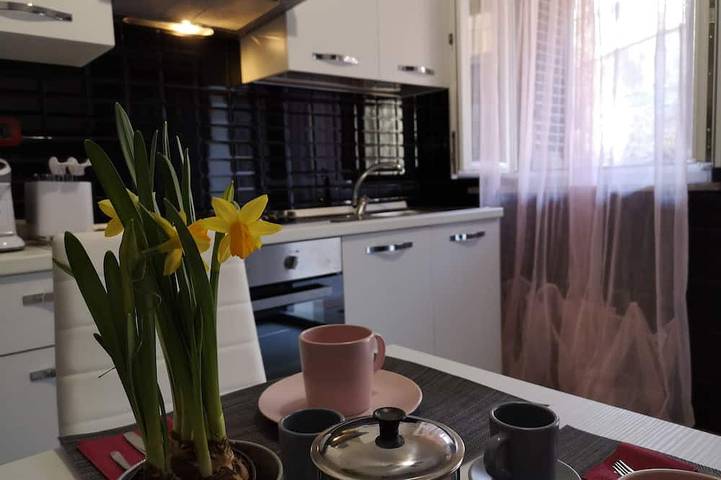 Ferienhaus für 4 Personen, mit Terrasse und Garten, mit Haustier - 1