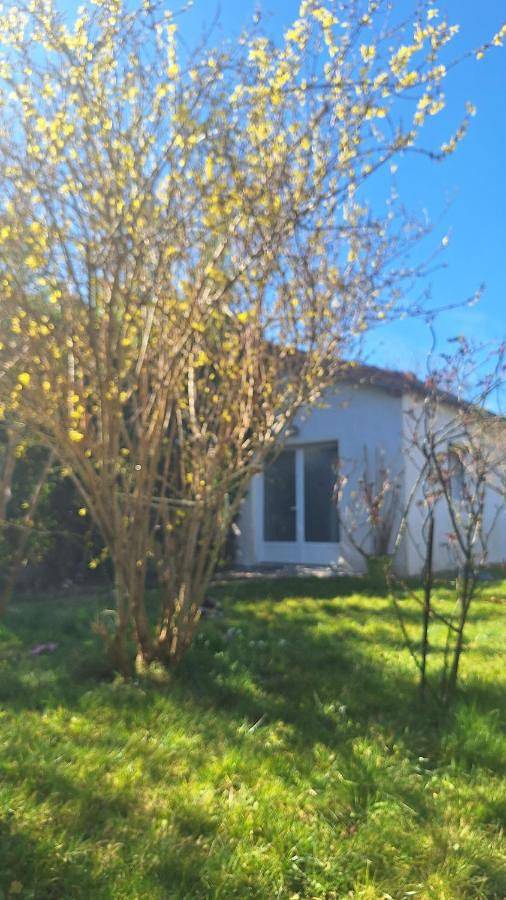 Location de vacances pour 4 personnes, avec jardin à Saint-Rémy-lès-Chevreuse - 2