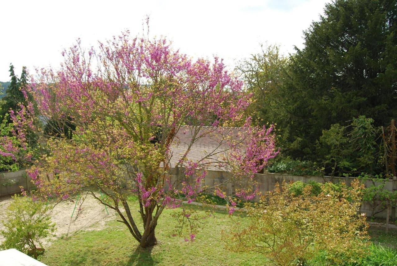 Ramier in Giverny, Région de Les Andelys