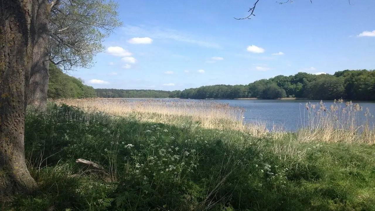 Bauernhof für 10 Personen (350 m²) in Stadt Crivitz in Crivitz, Ludwigslust-Parchim