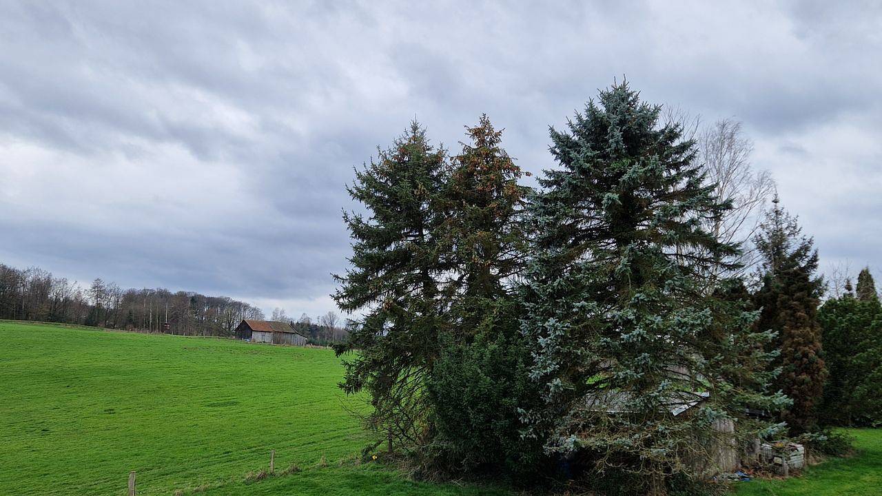 Ganze Ferienwohnung, Ferienwohnung für 4 Personen (68 m²) in Möhnesee in Möhnesee, Sauerland