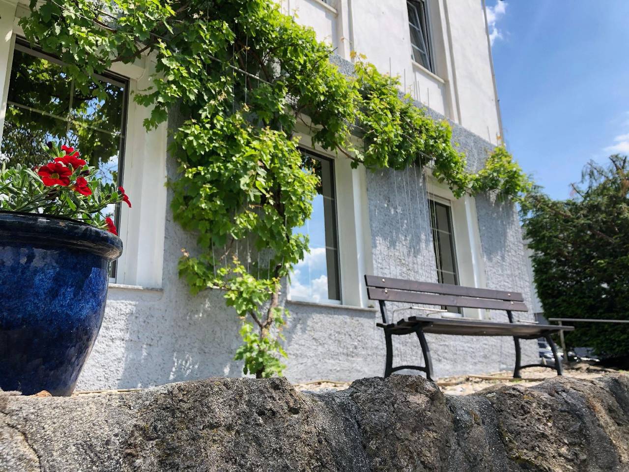 Appartamento intero, Apartment in Dresden at the Elbe Hillside in Loschwitz, Dresda