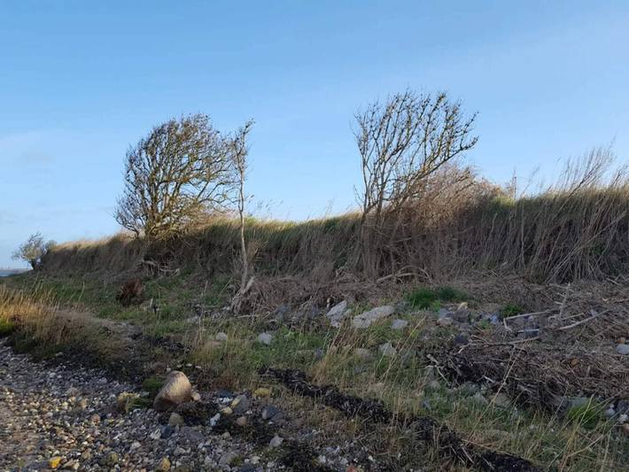 Ferienhaus für 4 Personen, mit Terrasse, mit Haustier in Kleiner Belt - 2