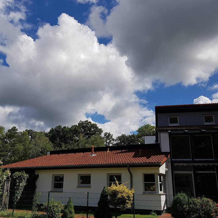 Ferienhaus für 11 Personen, mit Terrasse und Garten in Walsrode - 3