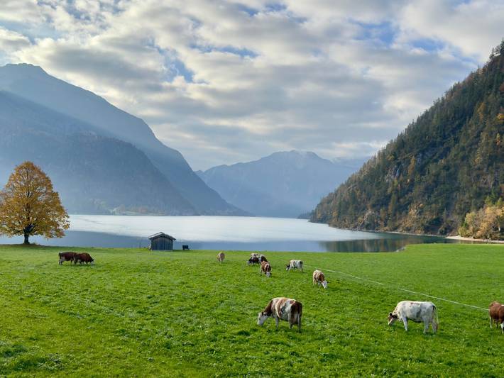Ferienwohnung für 4 Personen, mit Balkon und Garten sowie Seeblick in Achenkirch - 2