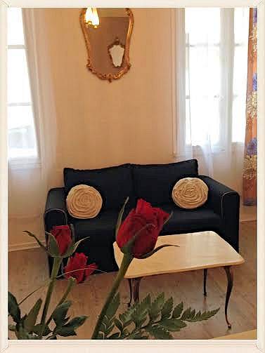 Albi-Suite centre parking privé gratuit - Albi-Suite appartement in Albi, Région d'Albi