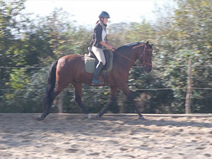 Bauernhof für 4 Personen, mit Garten im Pfaffenwinkel - 3