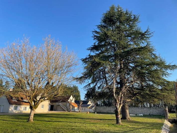 Location de vacances pour 2 personnes, avec vue et jardin, animaux acceptés à Cellettes - 4
