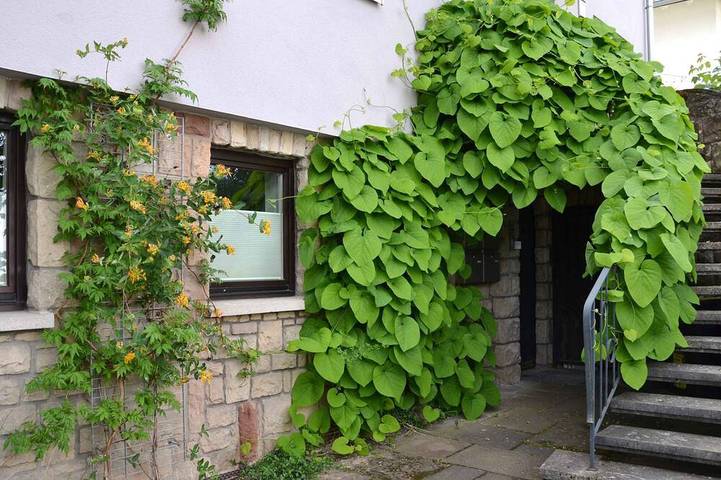 Ferienwohnung für 2 Personen in Bingen am Rhein