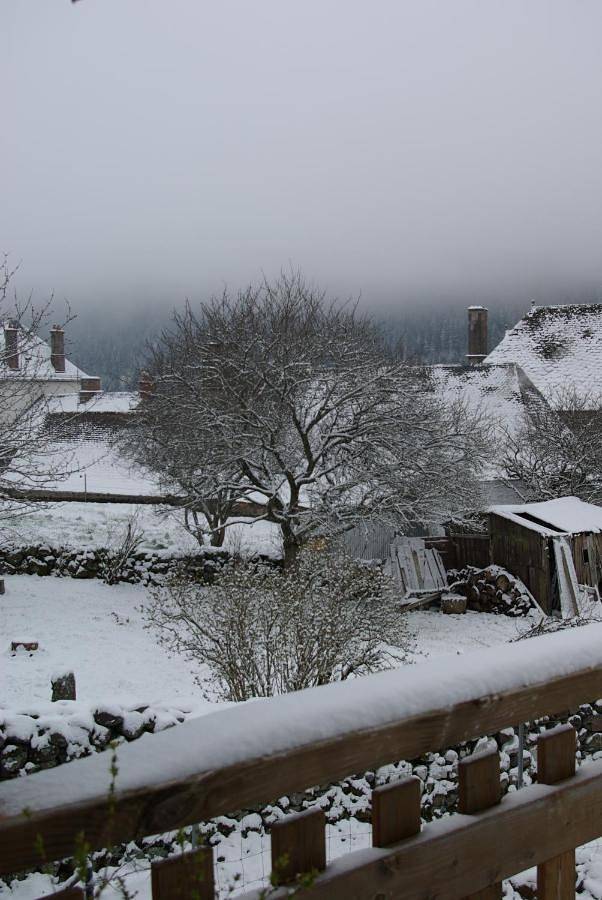 Gîte pour 2 personnes, avec jardin et vue à Albepierre-Bredons - 4