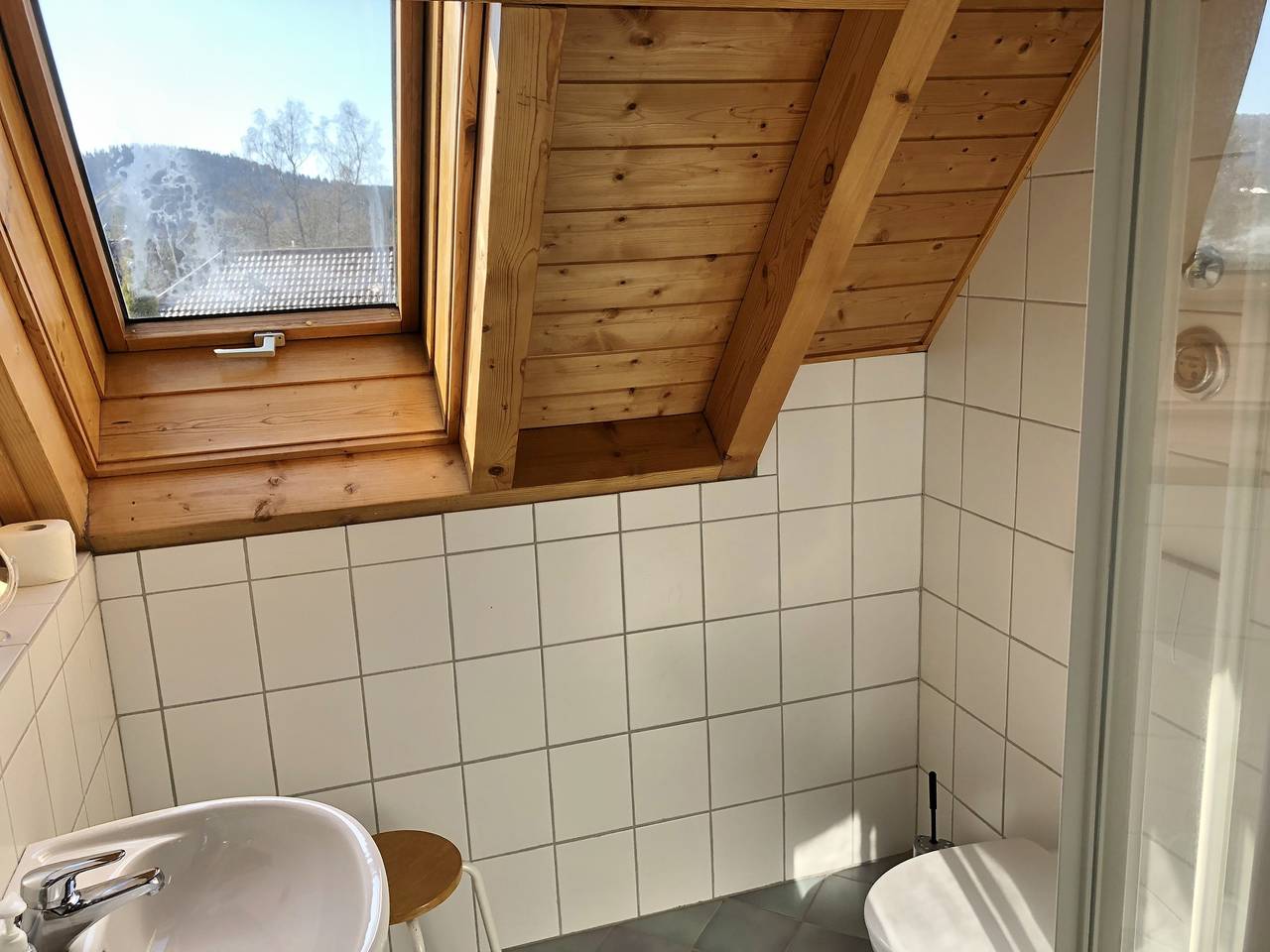 Entire apartment, Apartment 'Studio – With Balcony 40 sqm' with Mountain View, Shared Terrace and Wi-Fi in Suedlicher Schwarzwald, Hinterzarten