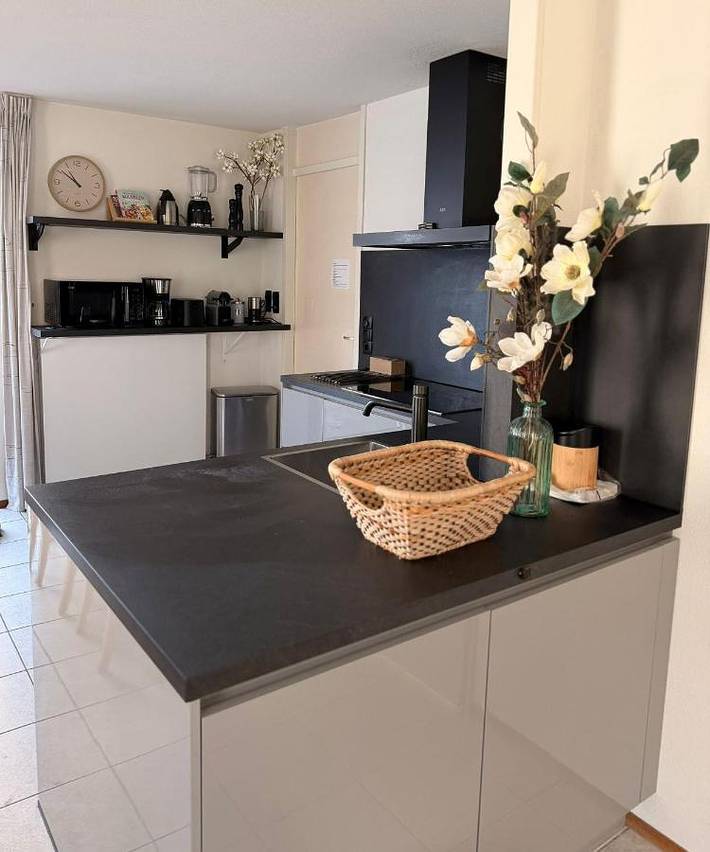 Ferienhaus für 8 Personen, mit Terrasse und Sauna in Scharendijke - 4