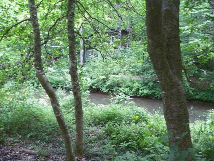 Cottage for 4 people, with yard and terrace, with pets in Georgia